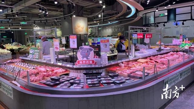 南方+ 朱洪波 拍摄