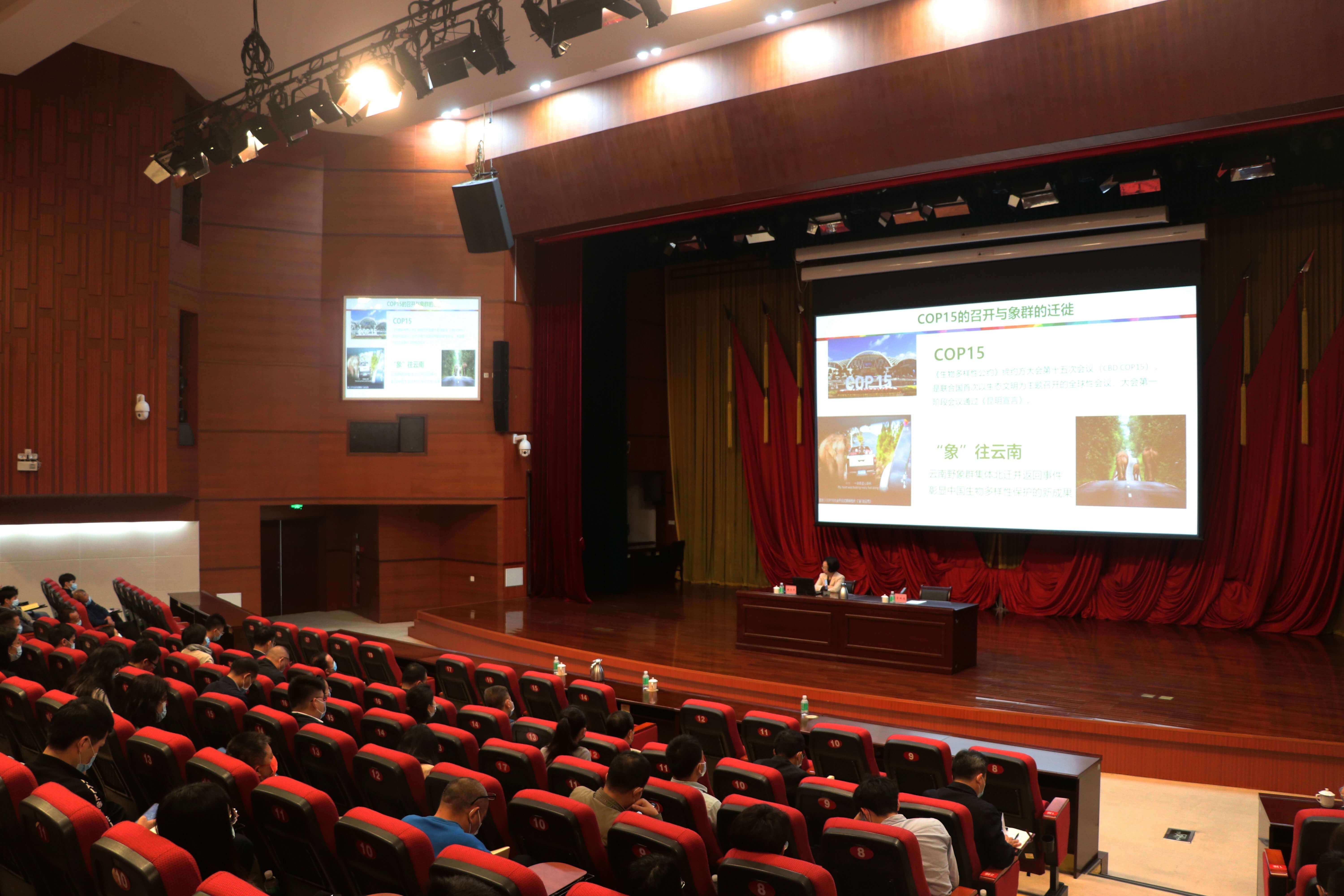 1648729182949025817.jpg mmexport1648729140873.jpg