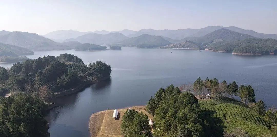 300亿露营经济“高烧”不退,掘金者们站在了岔路口