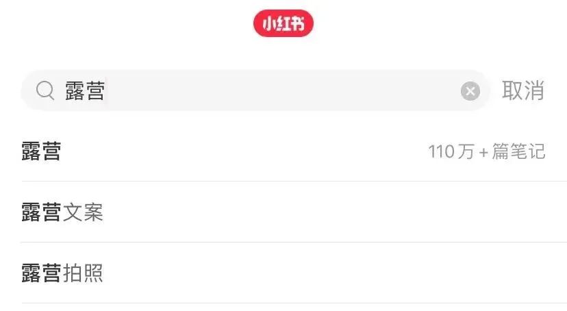300亿露营经济“高烧”不退,掘金者们站在了岔路口