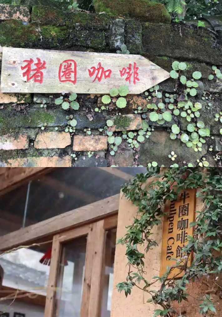 55万人口的小县城，300多家精品咖啡，青田县才是咖啡之王