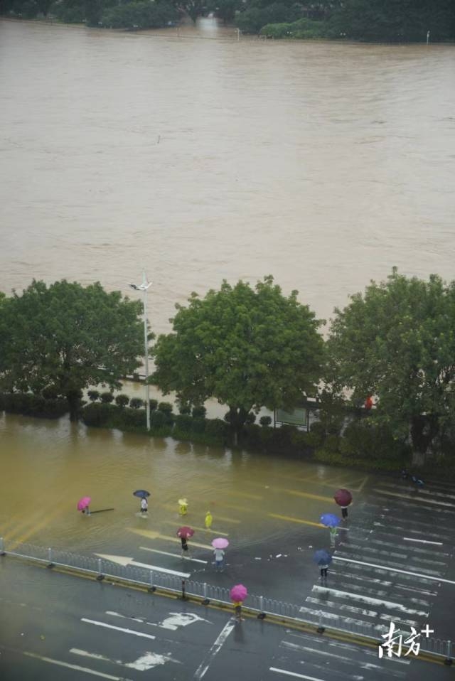 南方+ 董天健 拍摄