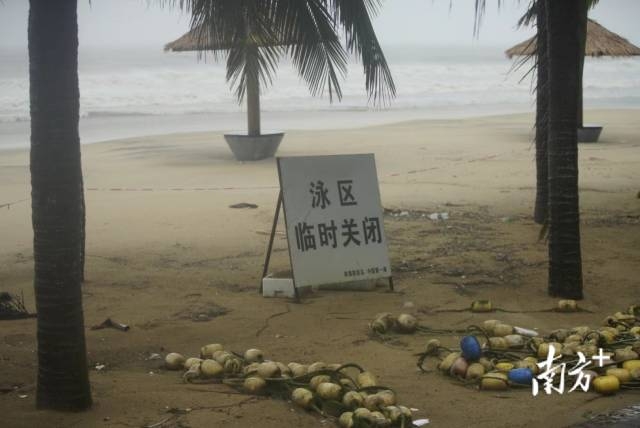 南方+ 董天健 拍摄
