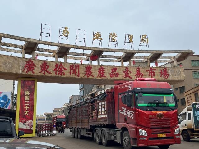 徐闻县农产品交易市场门口车流穿梭