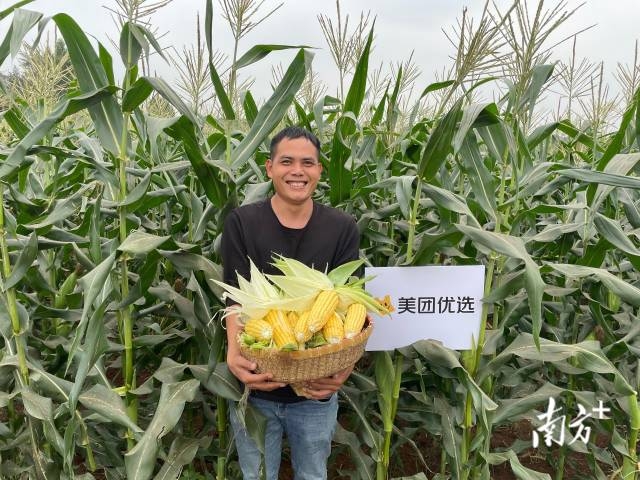 鲜食玉米种植户郑湛才