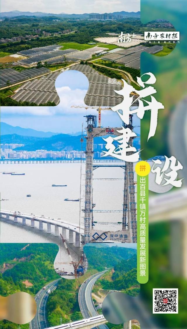 南方农村报 肖婉琦 制图