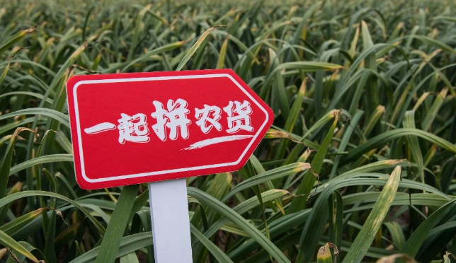 image.php?url=YD_cnt_70_01Ks2OCYW4nC