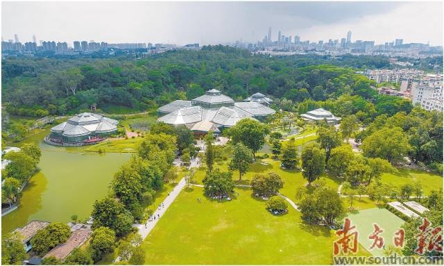 华南国家植物园。南方日报记者徐昊 姚志豪摄