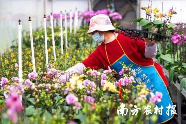 1  受访者供图
