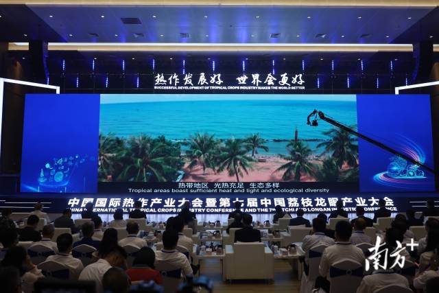 南方⁺ 石磊 拍摄