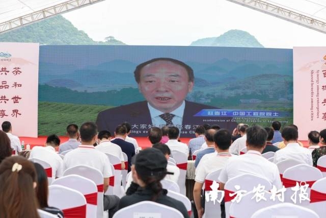 受访者供图