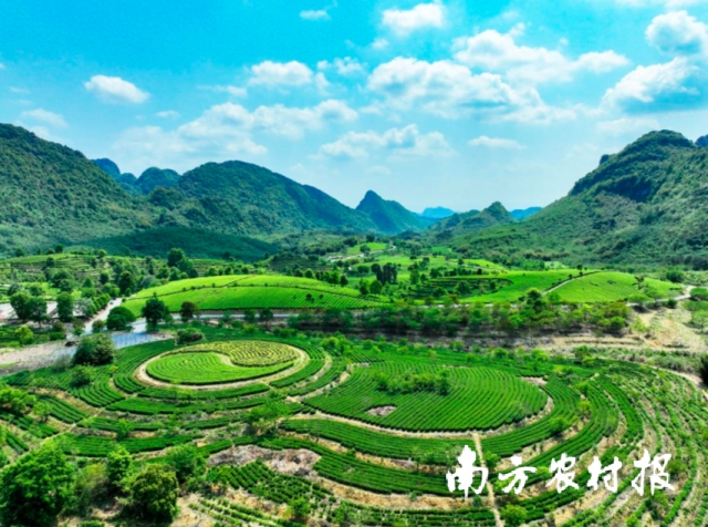 受访者供图