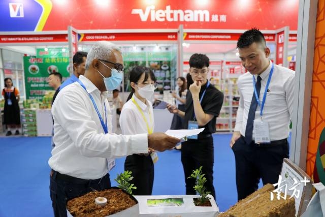 南方+ 石磊 拍摄