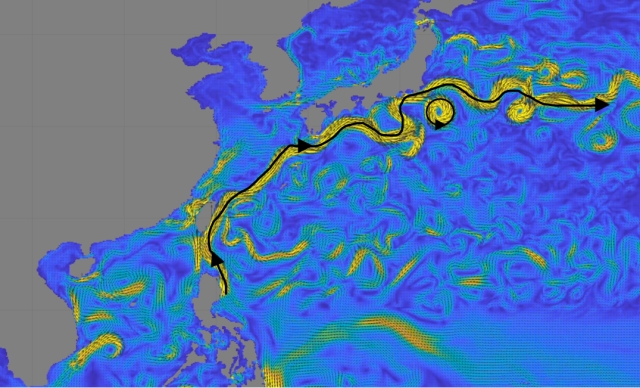 中山大学西太平洋海洋环流数值模拟图。图中黄色为洋流，小尺度的涡旋会向西运动；黑色箭头所示为洋流的主要方向。