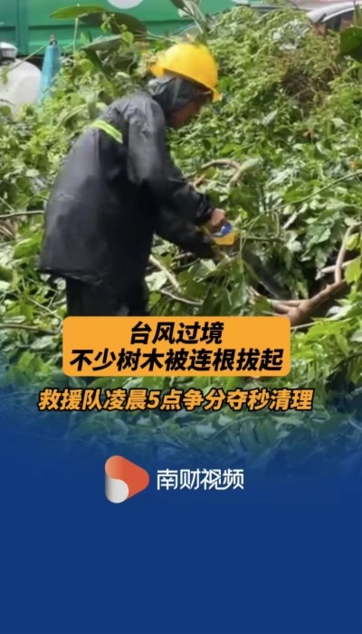 二十一世紀經濟報道