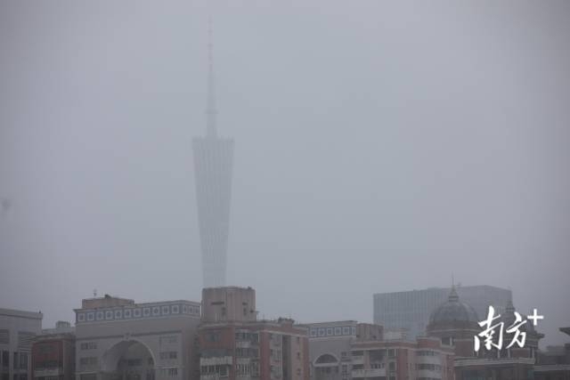 南方+ 王良珏 拍摄