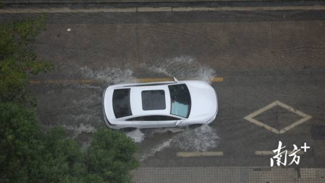 南方+ 王良珏 拍摄