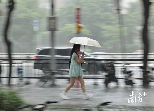 南方+ 王良珏 拍摄