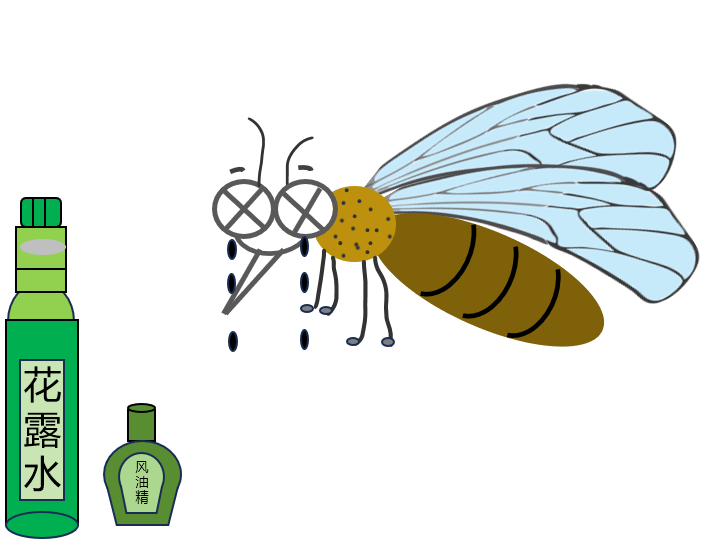 夜裡那些事蚊子如此囂張你對它又瞭解多少呢