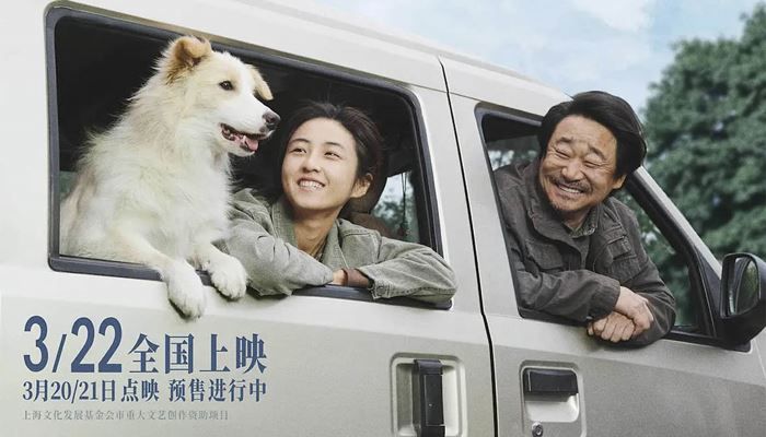 影評(píng)丨《我會(huì)好好的》：愿小狗帶給你成長(zhǎng)和溫暖