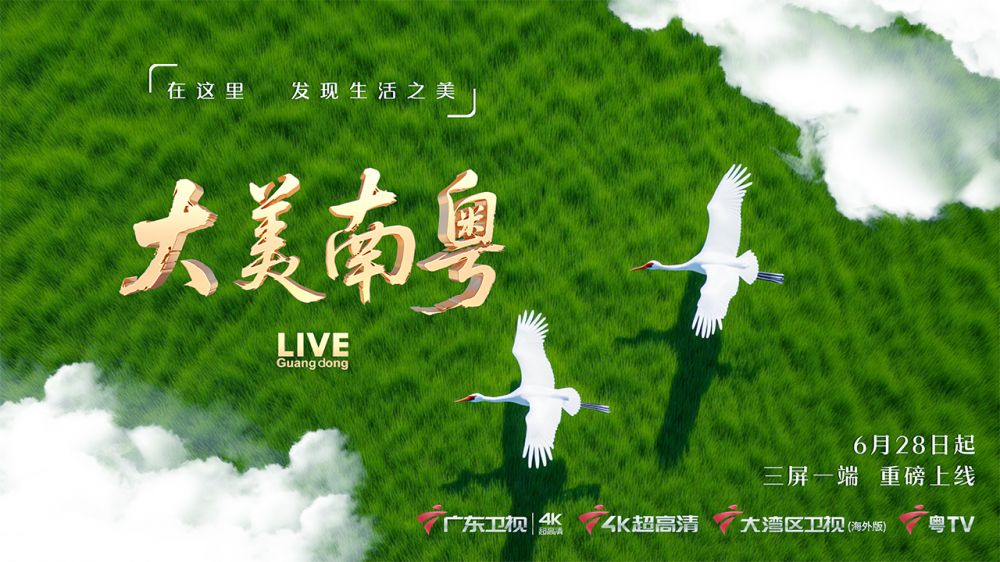 大美南粤慢直播 丨 2025.07.05 清晨