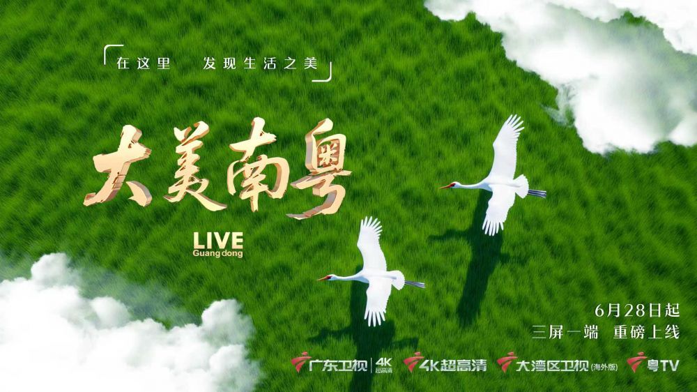 大美南粤慢直播 丨 2025.07.11 下午