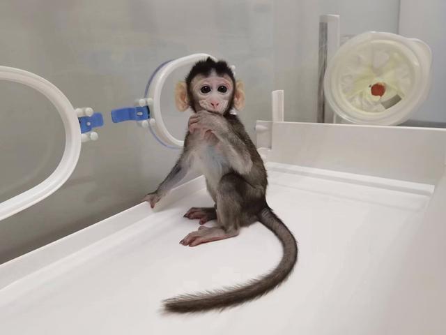 北京航天新立申请用于大长径比不锈钢组件焊接方法专利有效解决焊接变形、同轴度不达标