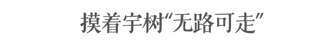 文章配图-2