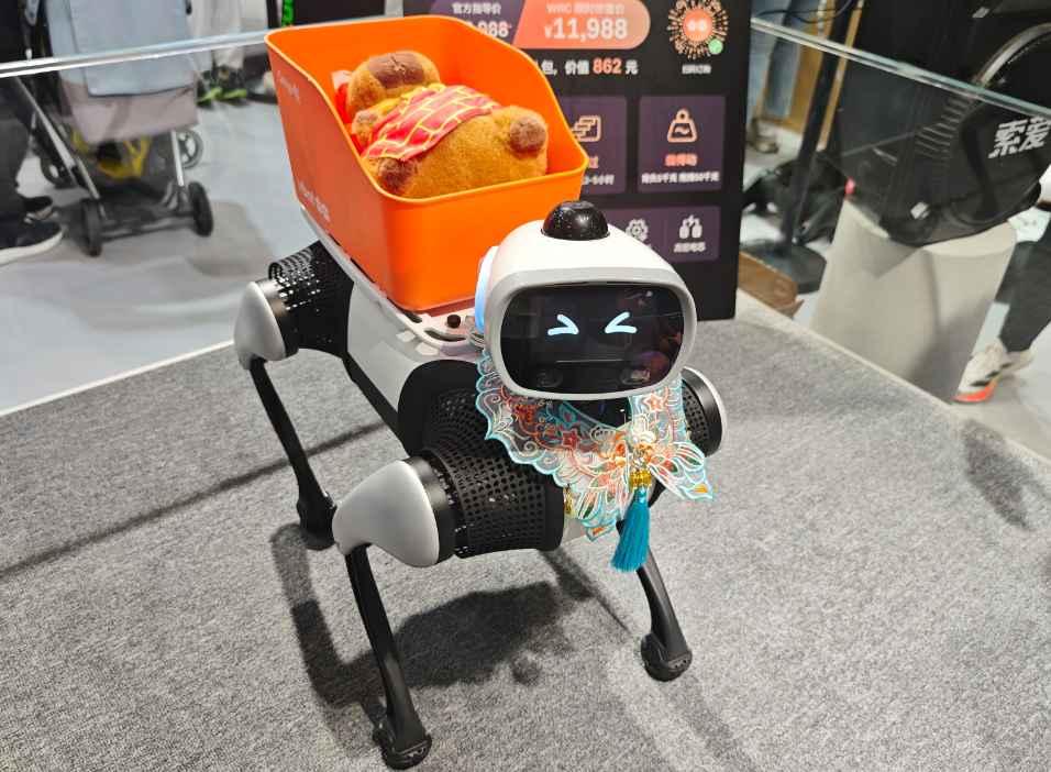 双击查看原图
