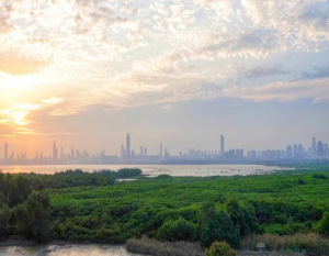 净零碳城市走访丨深圳：领跑绿色低碳发展，如何继续发力实现2030年碳达峰？