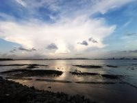 浙江探路“蓝色低碳”：重塑海洋经济新循环｜活力中国调研行