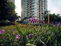 一線城市物業(yè)費(fèi)也在下降，物業(yè)企業(yè)左手守項目右手保利潤