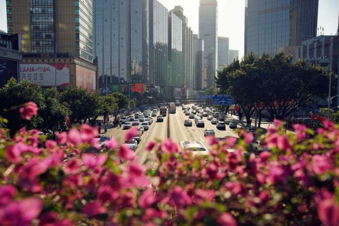 二十一世紀經濟報道