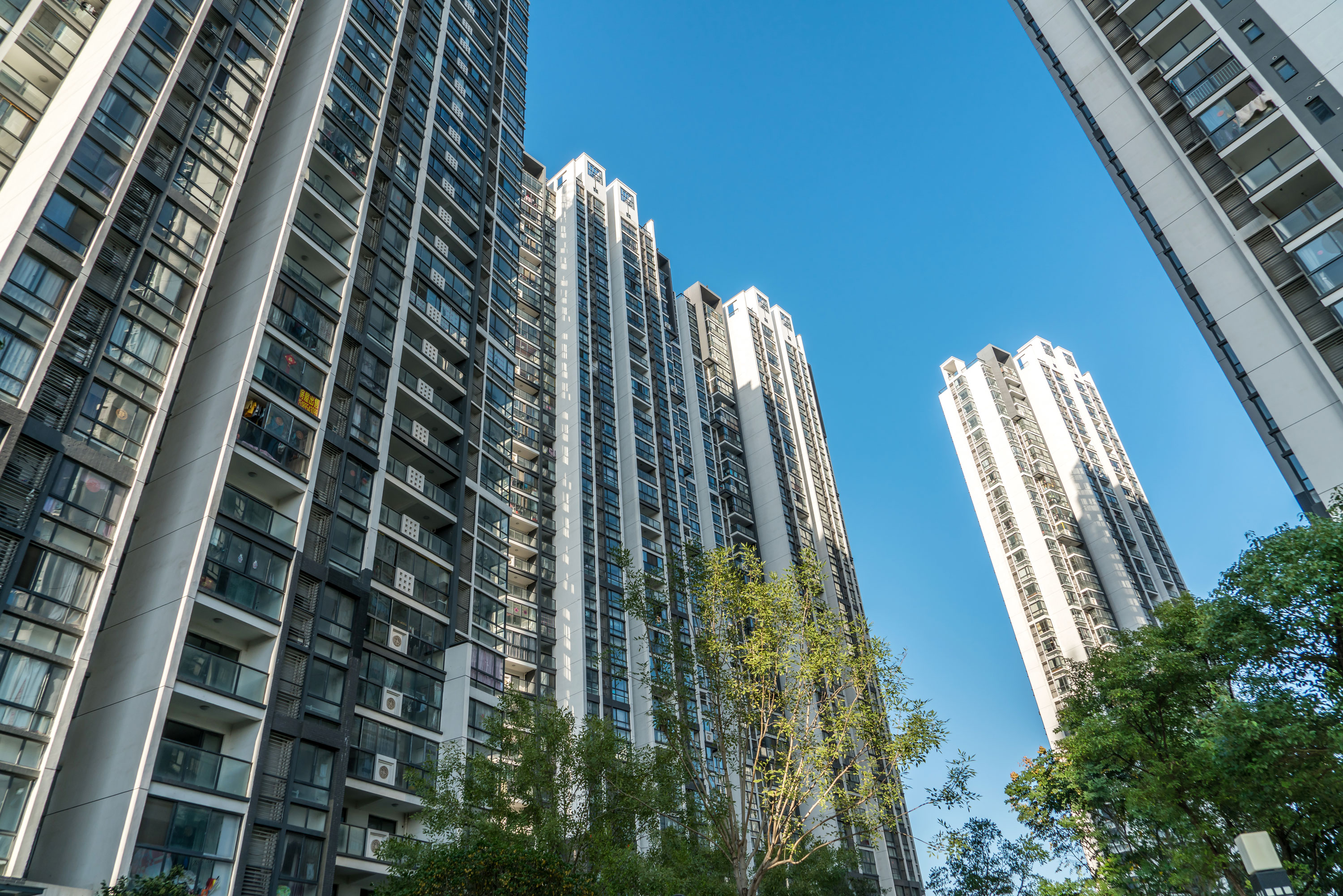 二十一世纪经济报道