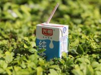 240亿上海乳业龙头，甩卖新西兰工厂