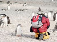 21调查｜无证代理的南极“猎场”：10万元15天的噩梦之旅