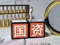 清华大学肖星：PE/VC全面复苏时日方长，国资机构势起仍将持续