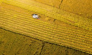 农业农村部：正编制实施方案，逐步把永久基本农田全部建成高标准农田