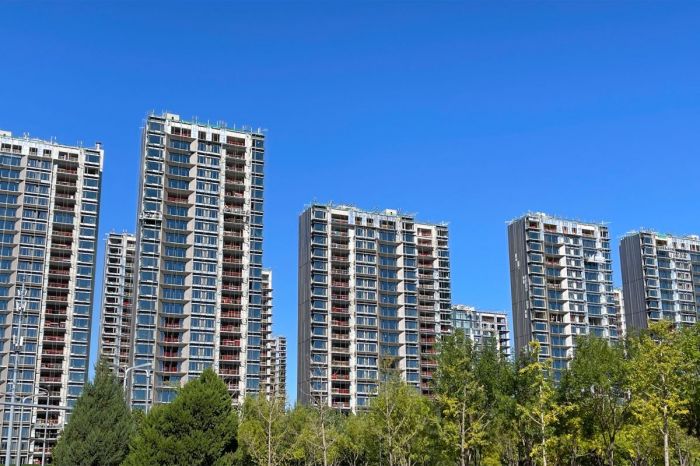 二十一世纪经济报道