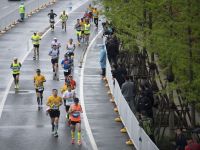 乘十五运之风，2025粤港澳体博会将于11月8日在广州举办