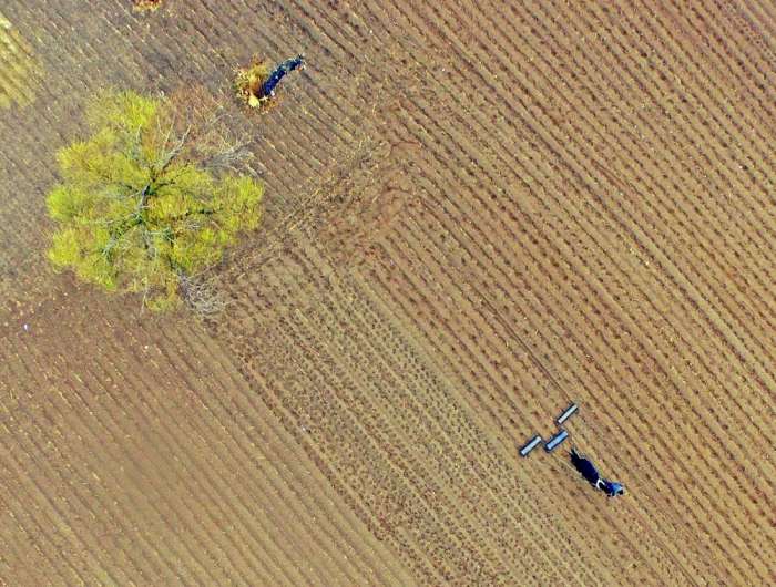 农业农村部：目前2600多万农户顺利签订土地延包合同