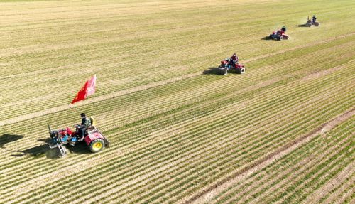 “十五五”首个中央一号文件发布，27项举措推进乡村全面振兴