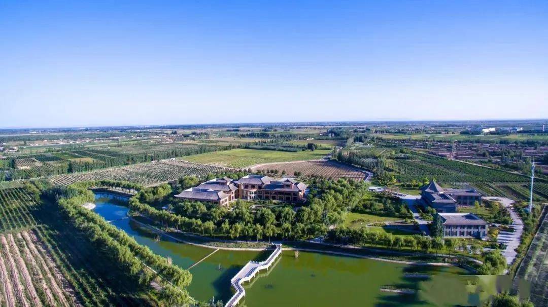 要知道,宁夏第一瓶干红葡萄酒就在玉泉营诞生,与电视剧中的年代不谋