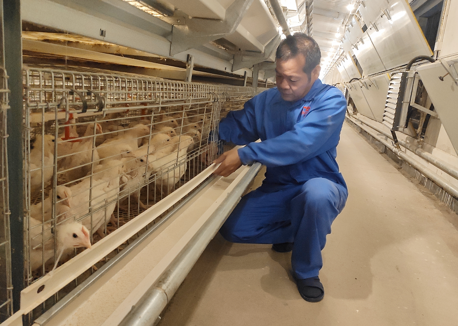 1620355246719291.png image.png