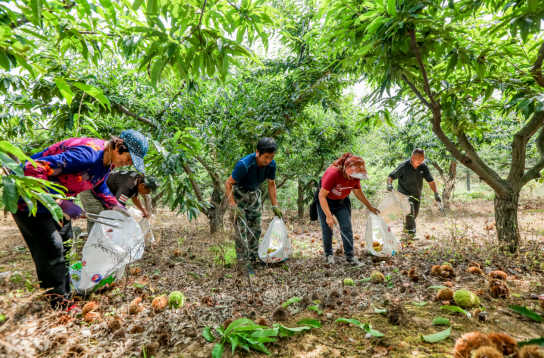 1632713330550665.png image.png