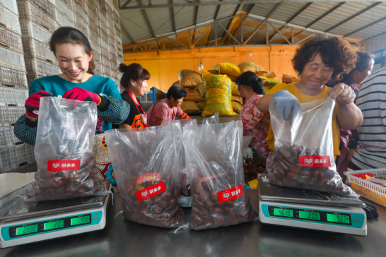 1632713362716155.png image.png