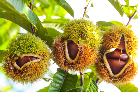 1632713373103674.png image.png